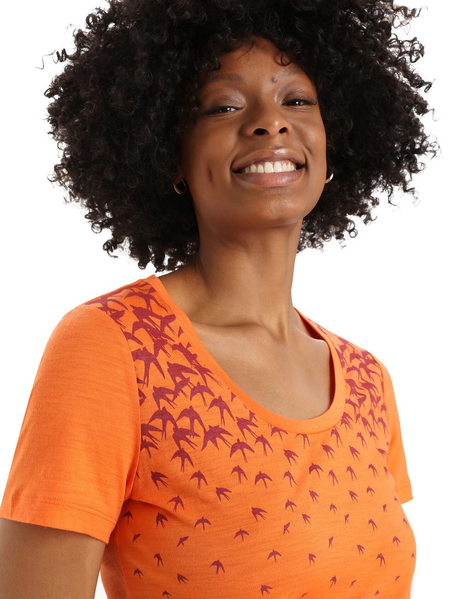 T Shirts Icebreaker Merino Tech Lite II Corta Sleeve Scoop Migration Femme Orange | FR 1590SGLO